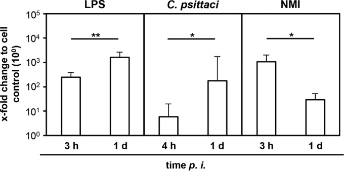 FIG 6