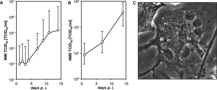 FIG 3