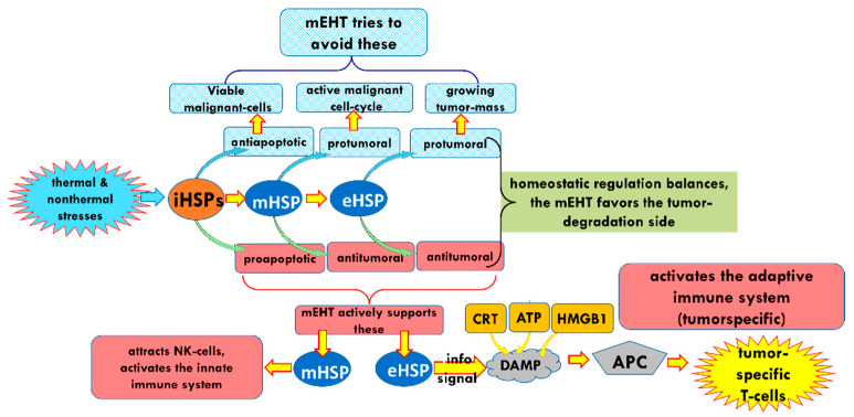 Figure 21