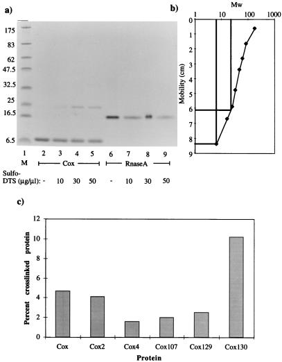 FIG. 5