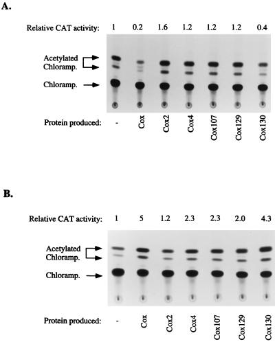 FIG. 7