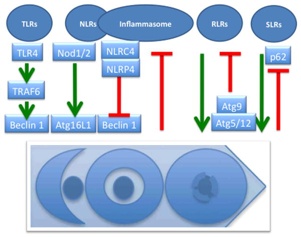 Fig. 3