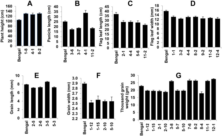 Fig 7