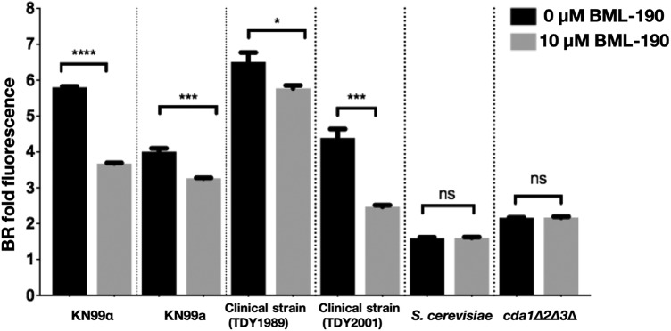 FIG 3