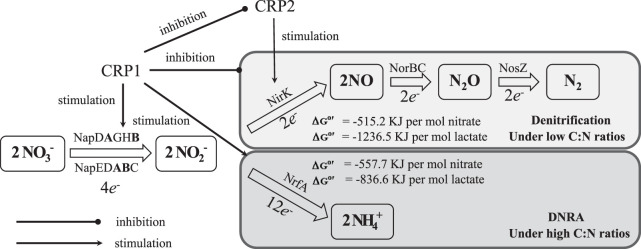 FIG 8