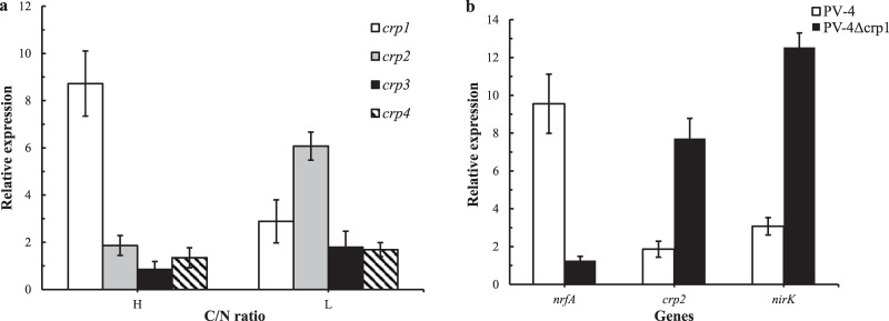 FIG 6