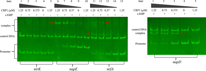 FIG 4