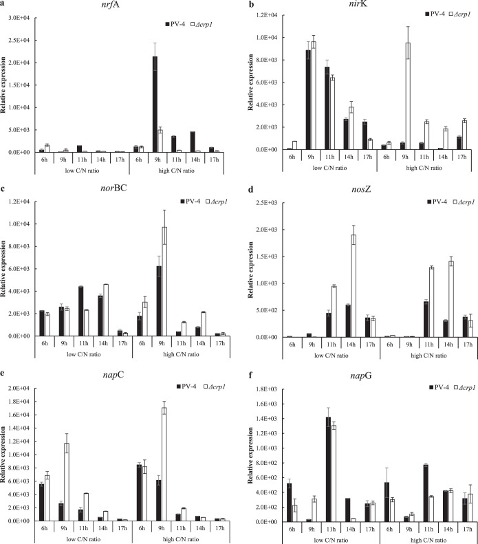 FIG 3