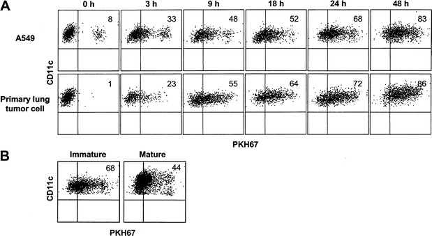  Fig. 1.