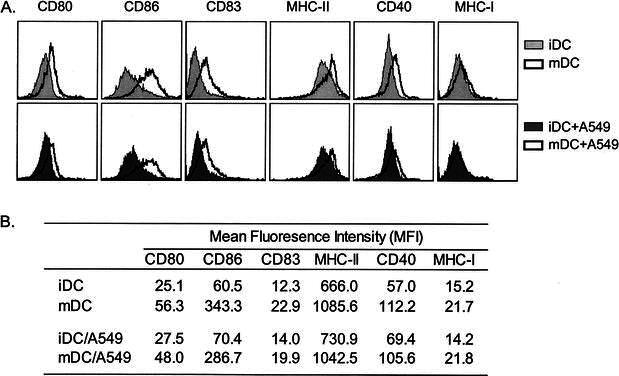  Fig. 3.