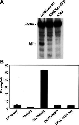  Fig. 5.