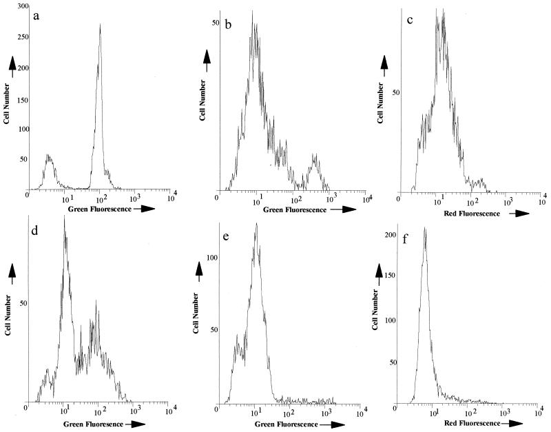 FIG. 4