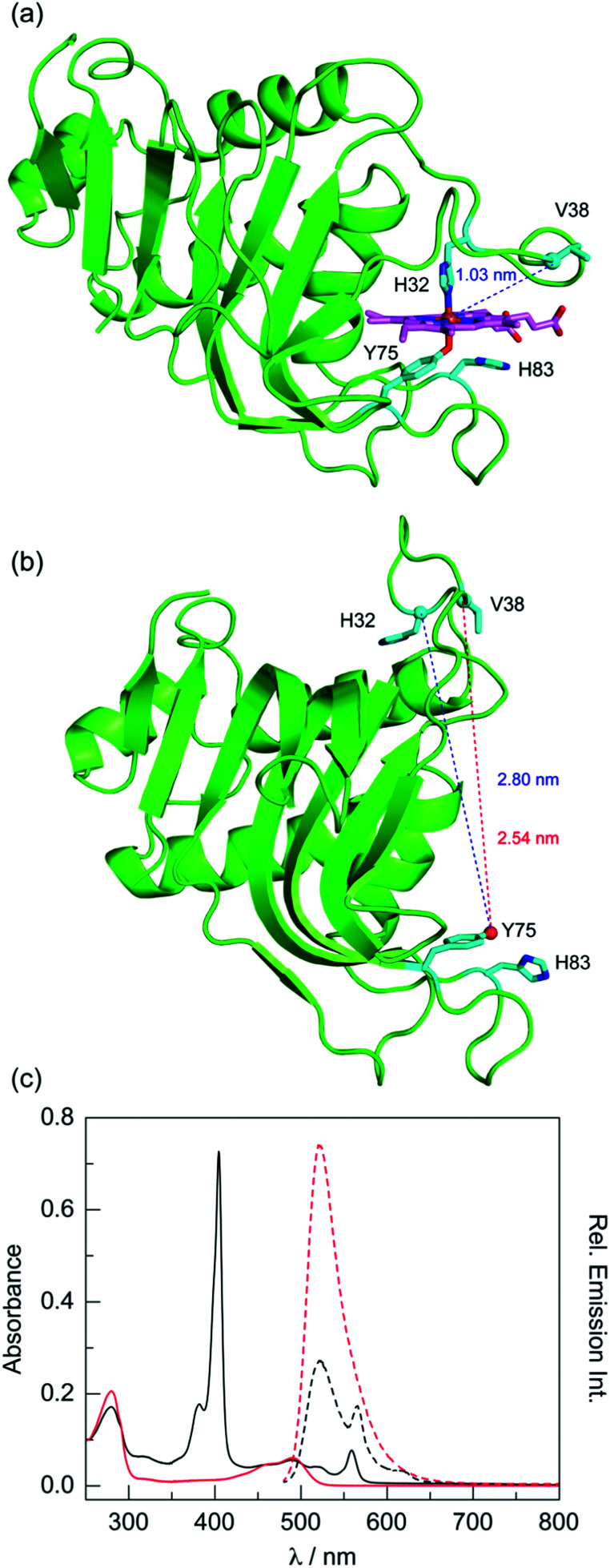 Fig. 5