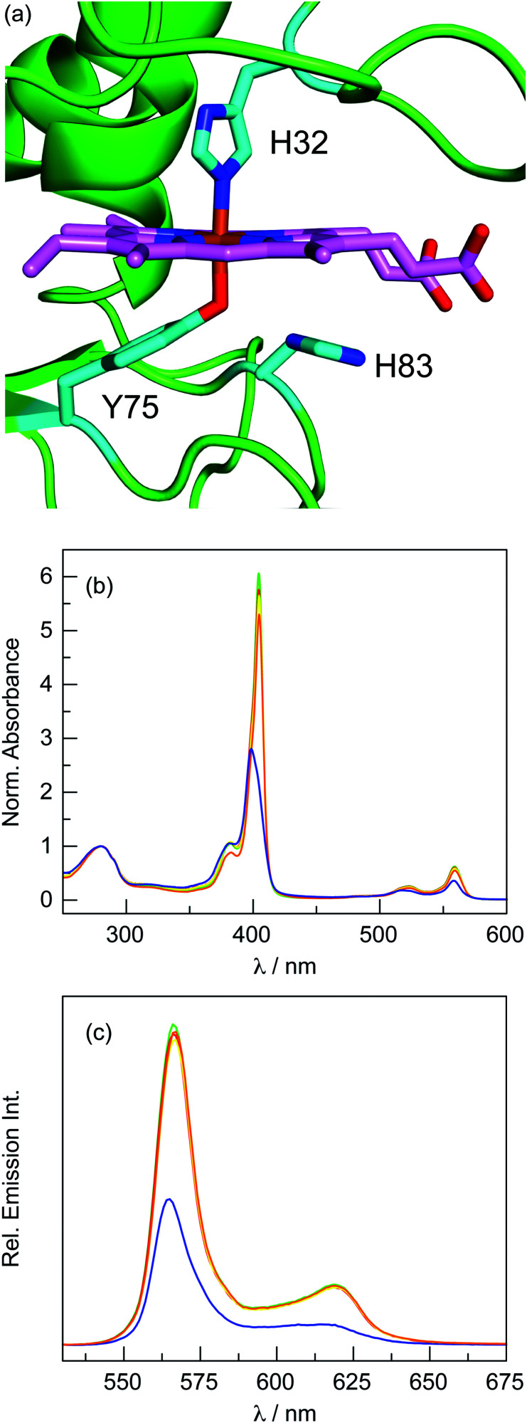 Fig. 4