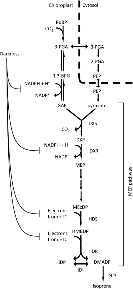 Figure 7.