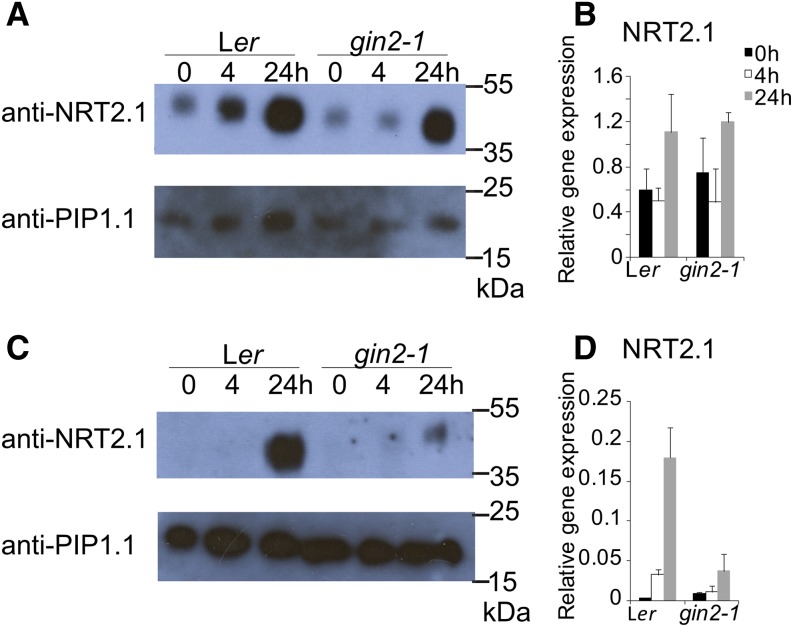 Figure 6.