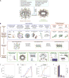 Extended Data Figure 1