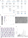 Extended Data Figure 2