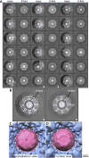 Extended Data Figure 6