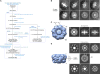 Extended Data Figure 4