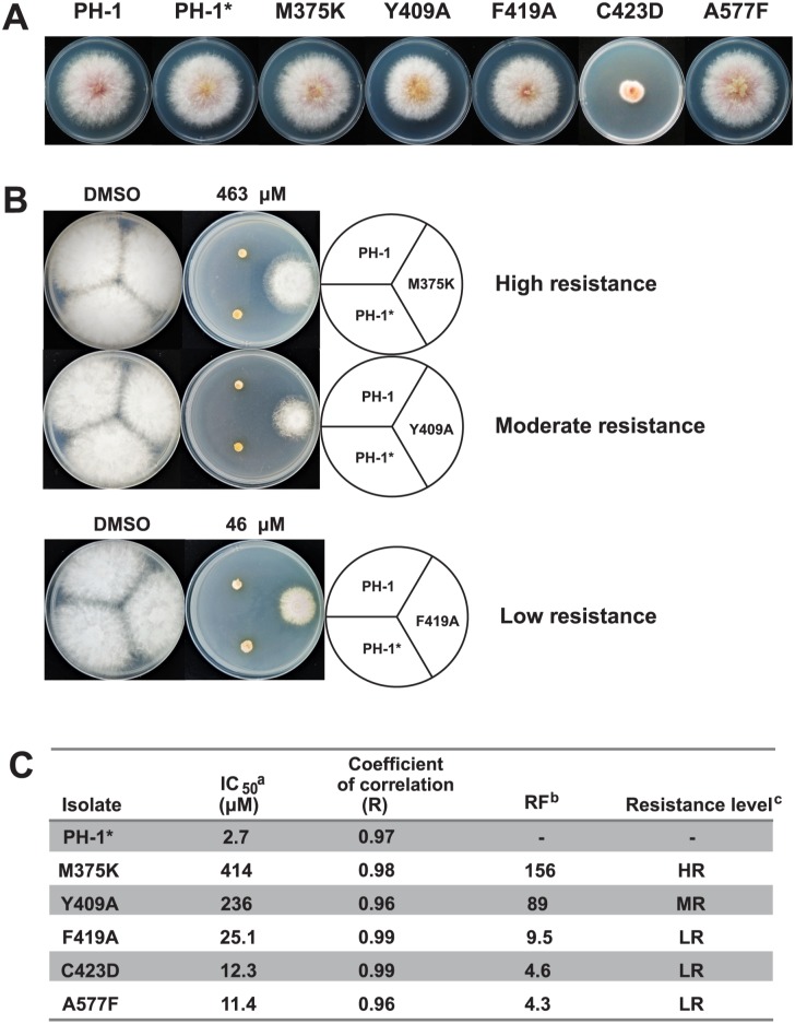 Fig 6