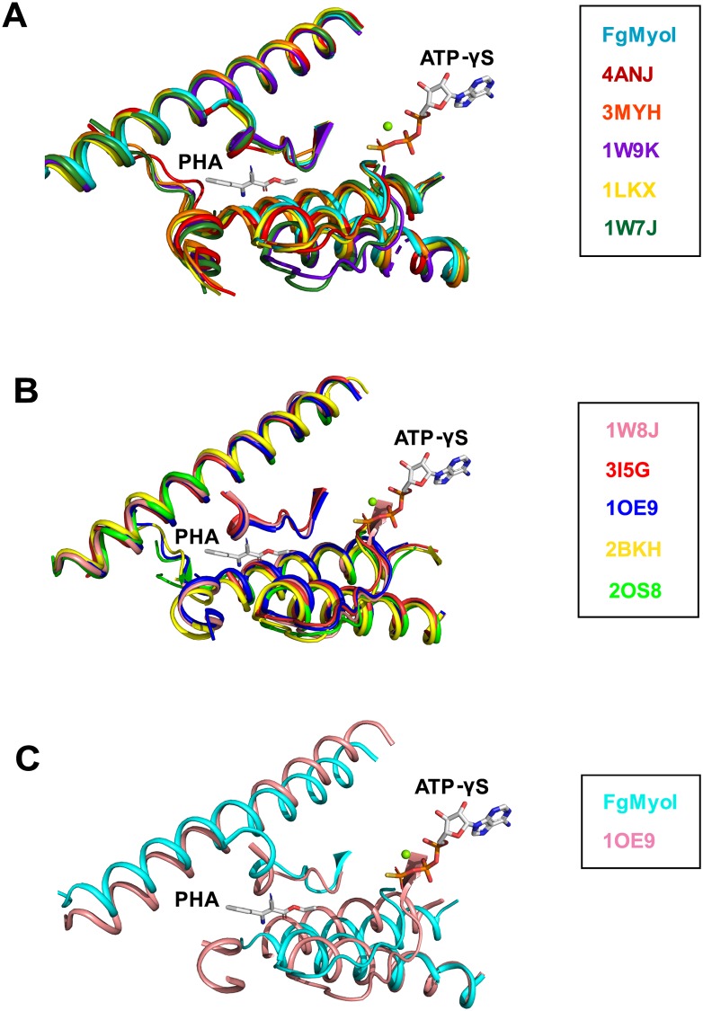 Fig 7