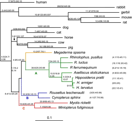 Fig. 3.