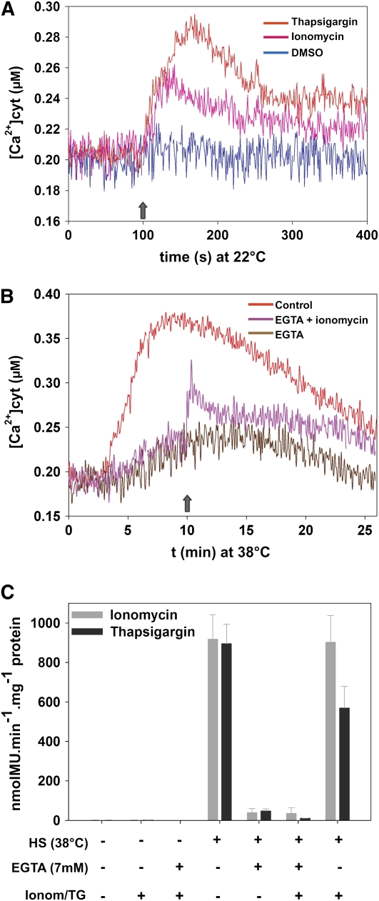 Figure 5.