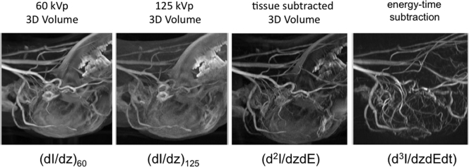 Figure 13