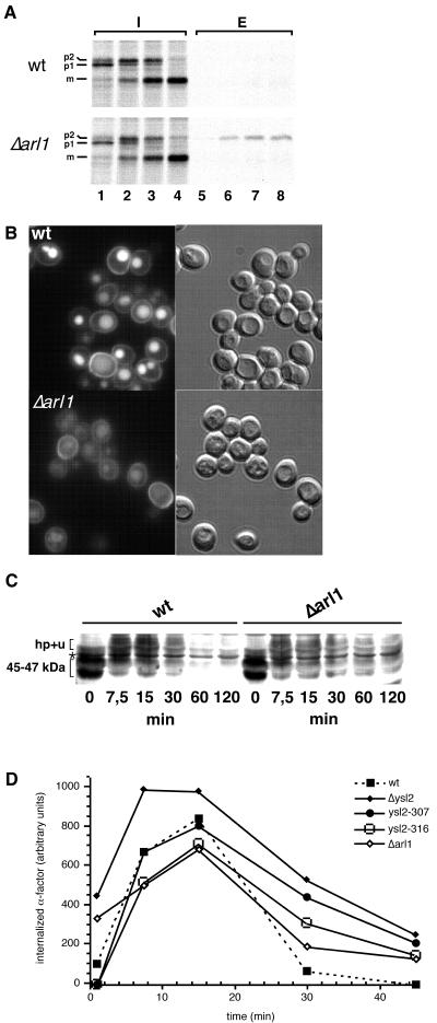 FIG. 8.