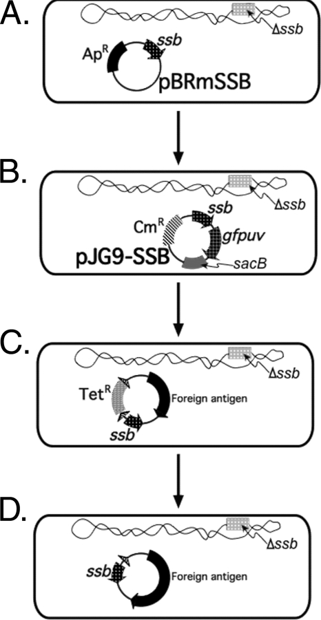 FIG. 1.