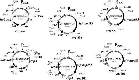 FIG. 2.