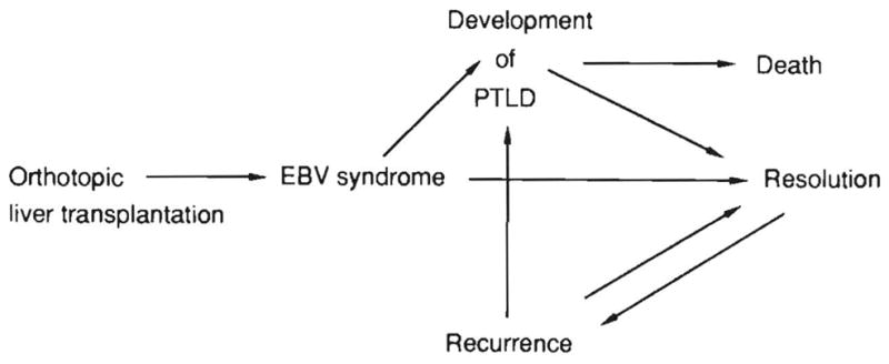 FIG. 12