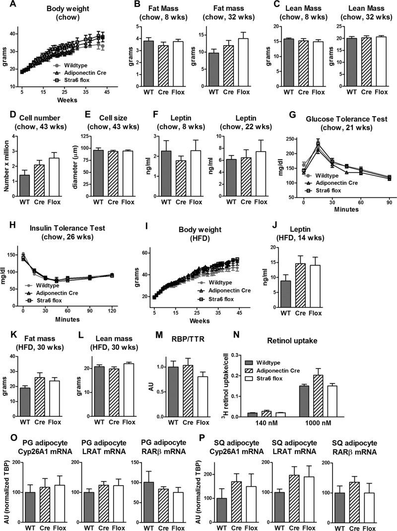 FIG 6