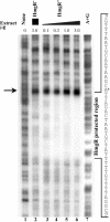 FIG. 10.