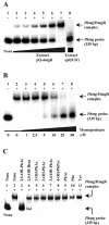 FIG. 9.