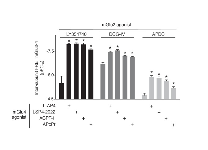 Figure 3—figure supplement 1.