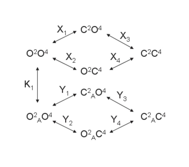 Appendix 1—figure 2.