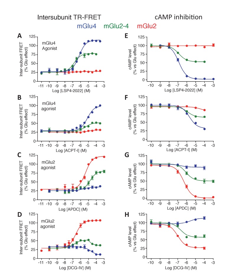 Figure 1—figure supplement 2.