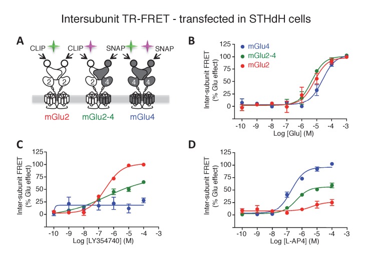 Figure 6—figure supplement 1.