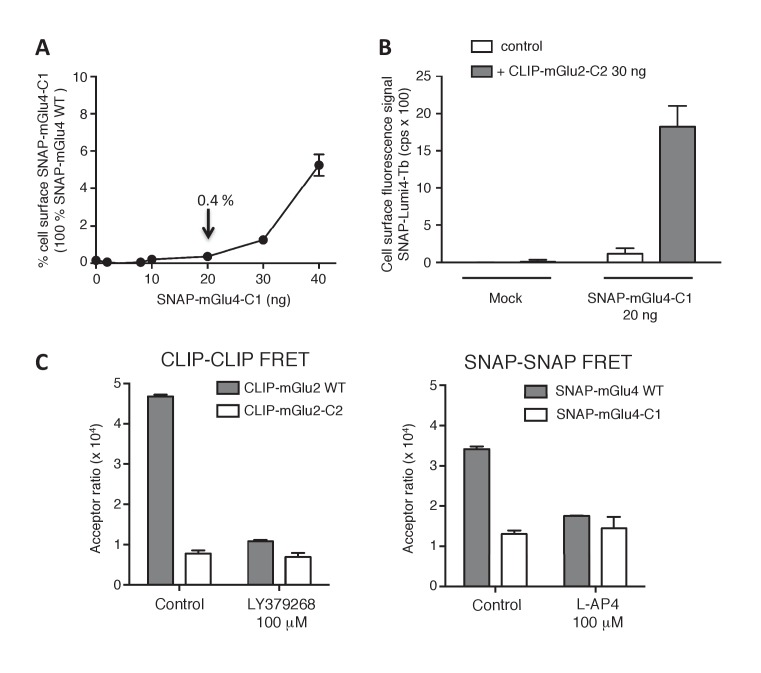 Figure 1—figure supplement 3.