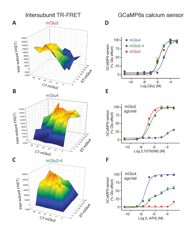 Figure 1—figure supplement 1.