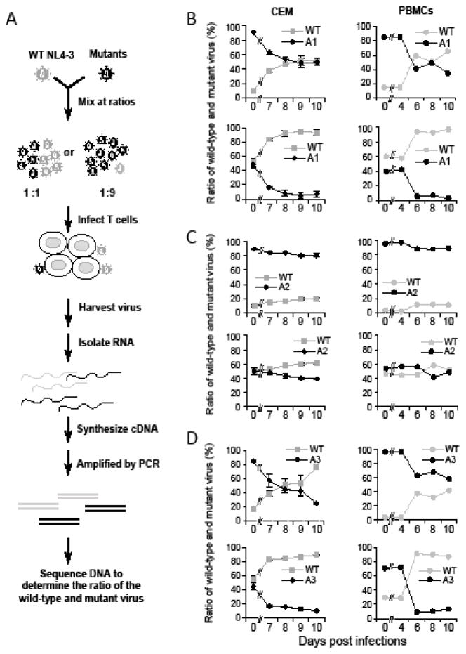 Fig. 4