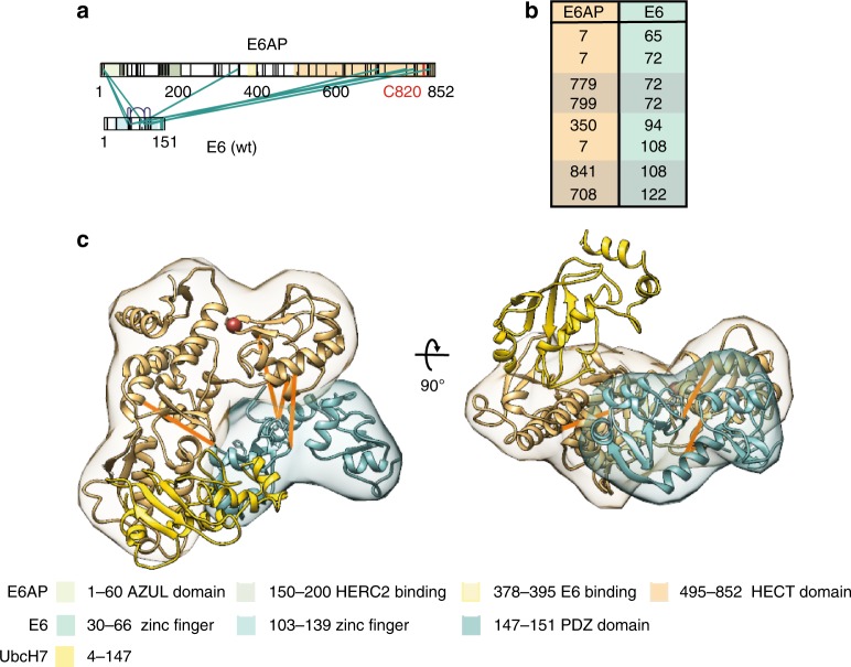 Fig. 3