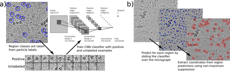 Figure 1 |