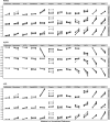Figure 5—figure supplement 1.