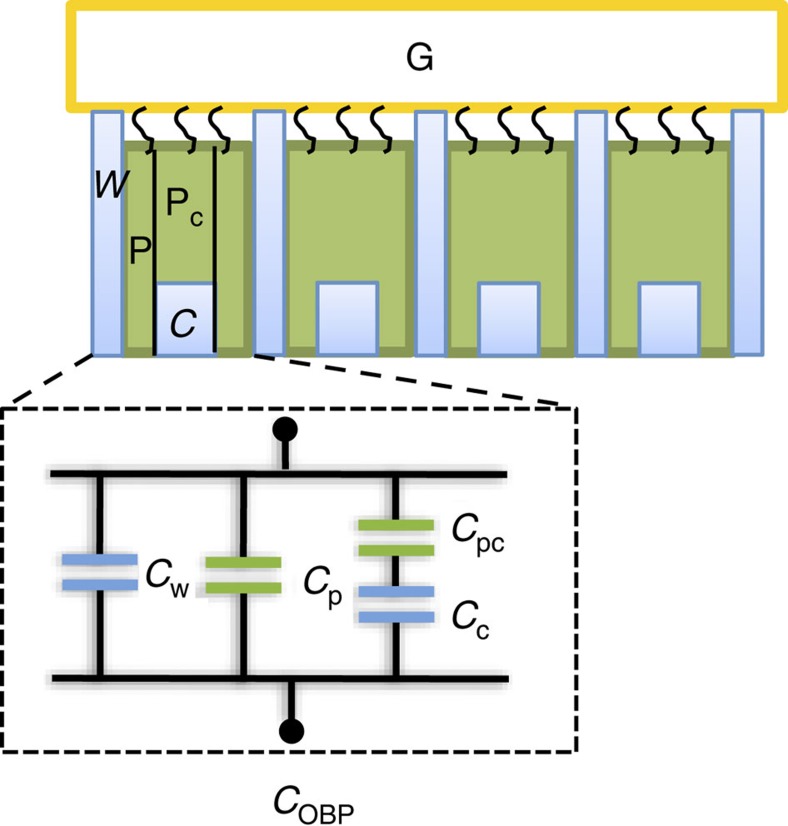 Figure 9