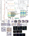 Extended Data Fig. 5