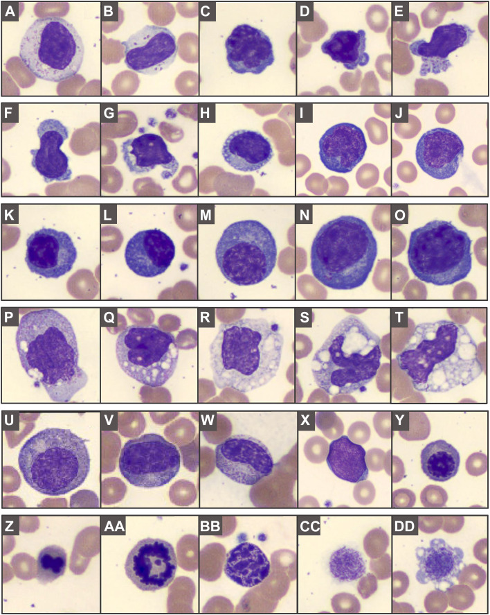 Fig. 2