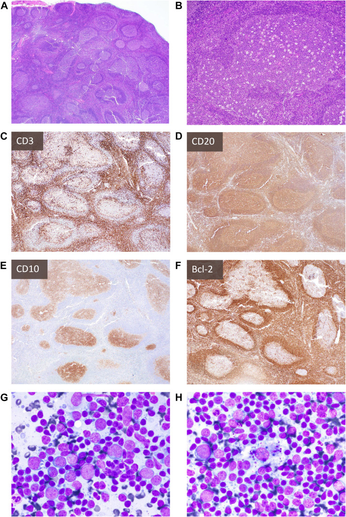 Fig. 7